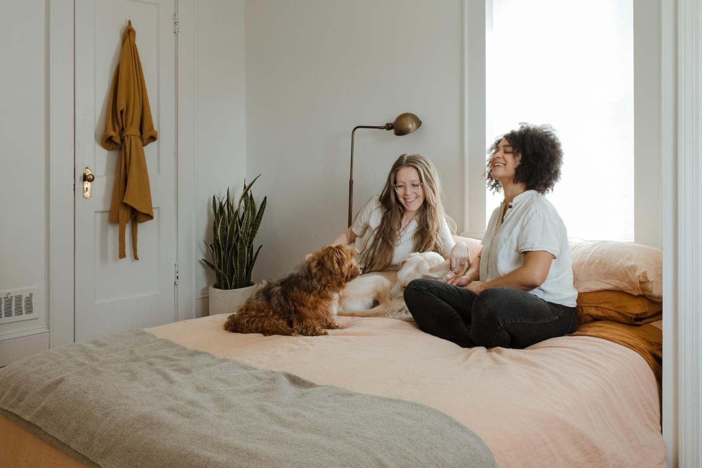 A couple sit on the bed laughing with their two dogs